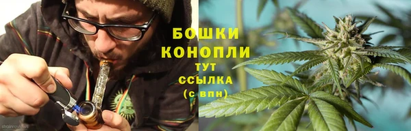 дурь Нея